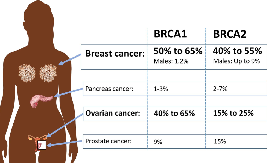 BRCA 1 & BRCA 2 image and chart